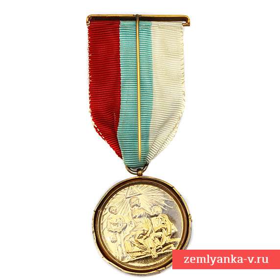 Почетная медаль масонских благотворительных организаций RMBI, RMIG и RMIB