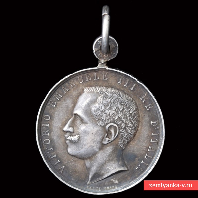 Серебряная медаль итальянских школ за границей