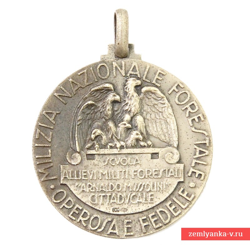 Итальянская медаль выпускнику Академии ВВС "в серебре"