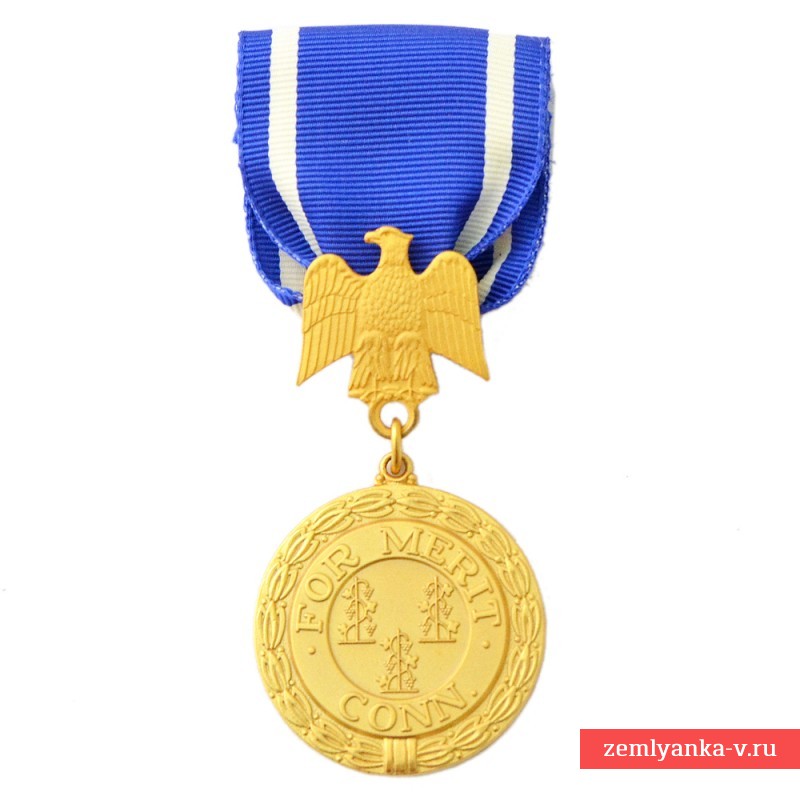 Медаль Национальной гвардии штата Коннектикут За заслуги