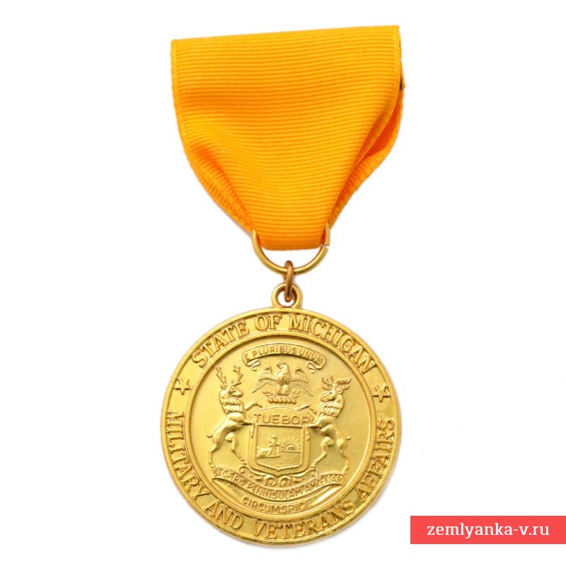 Медаль Национальной гвардии штата Мичиган за выдающиеся заслуги