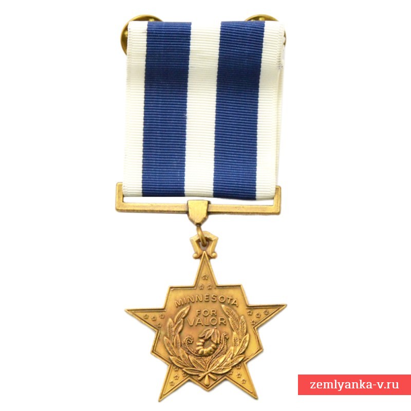 Медаль Национальной гвардии штата Мичиган за доблесть