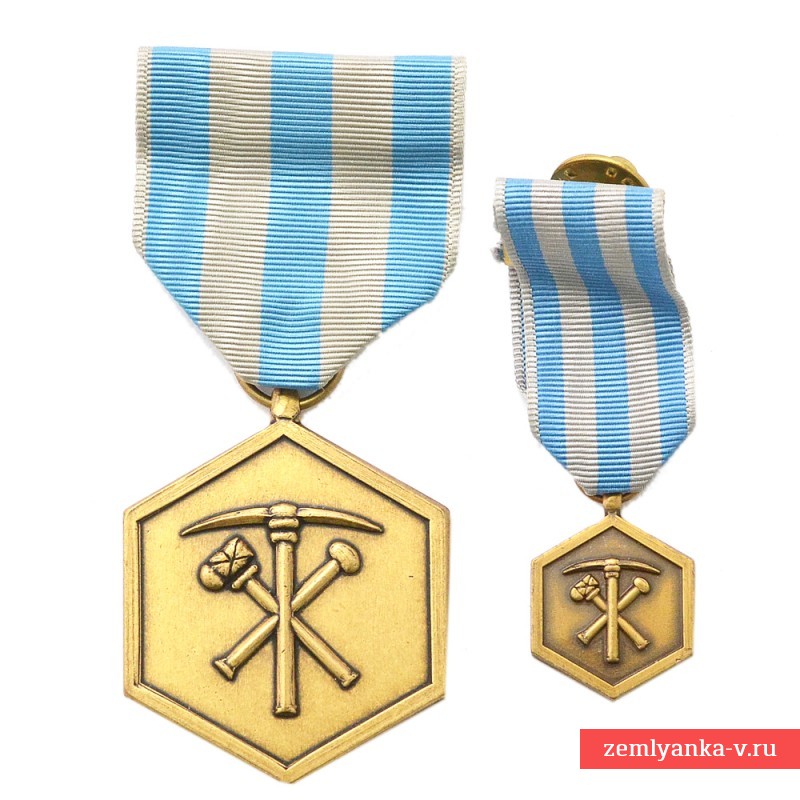 Почетная медаль Национальной гвардии штата Невада, с миниатюрой