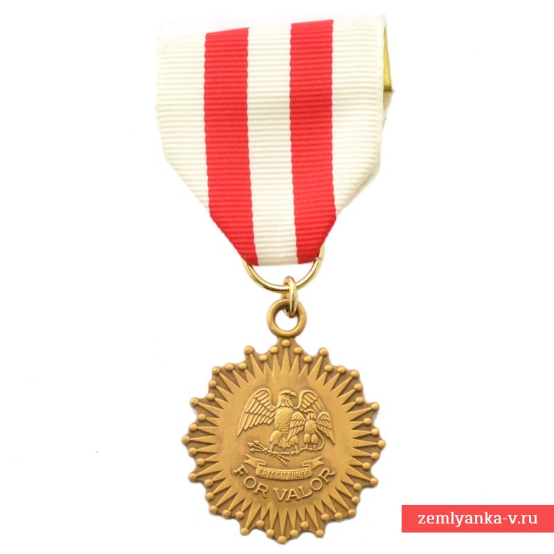 Медаль Национальной гвардии штата Нью-Мексико за доблесть