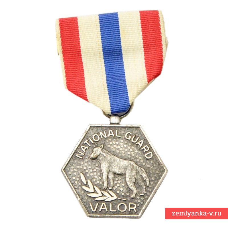 Медаль  Национальной гвардии штата Ю. Дакота за доблесть