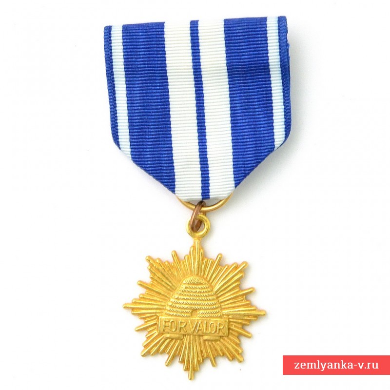 Медаль Национальной гвардии штата Юта "За доблесть", США