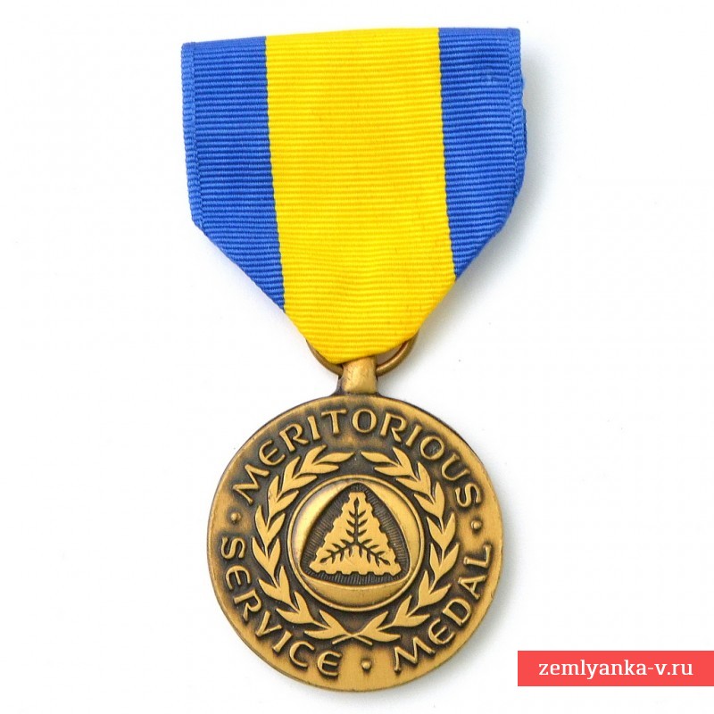 Медаль Национальной гвардии Виргинских островов за заслуги