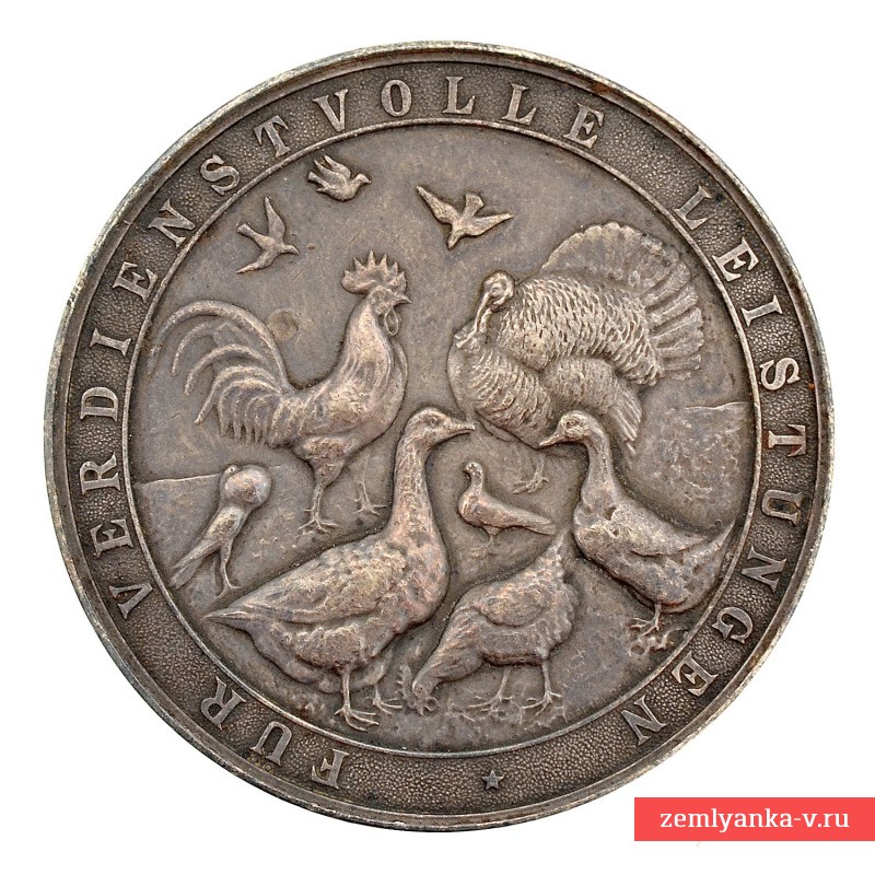 Большая серебряная медаль заслуг Министерства сельского хозяйства Мекленбург-Стрелица