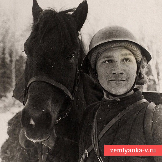 Фото ТАСС «Конный разведчик Кирейчиков на Карельском перешейке», 1939 г.