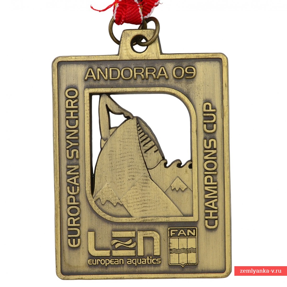 Бронзовая медаль Чемпионата Европы по синхронному плаванию, 2009 г.