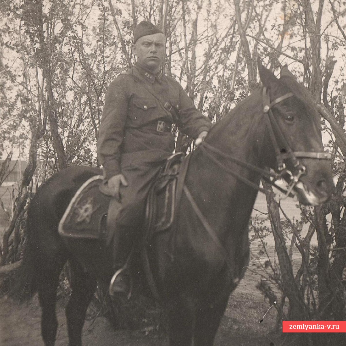 Фото полкового комиссара (?) РККА на лошади с редким вальтрапом