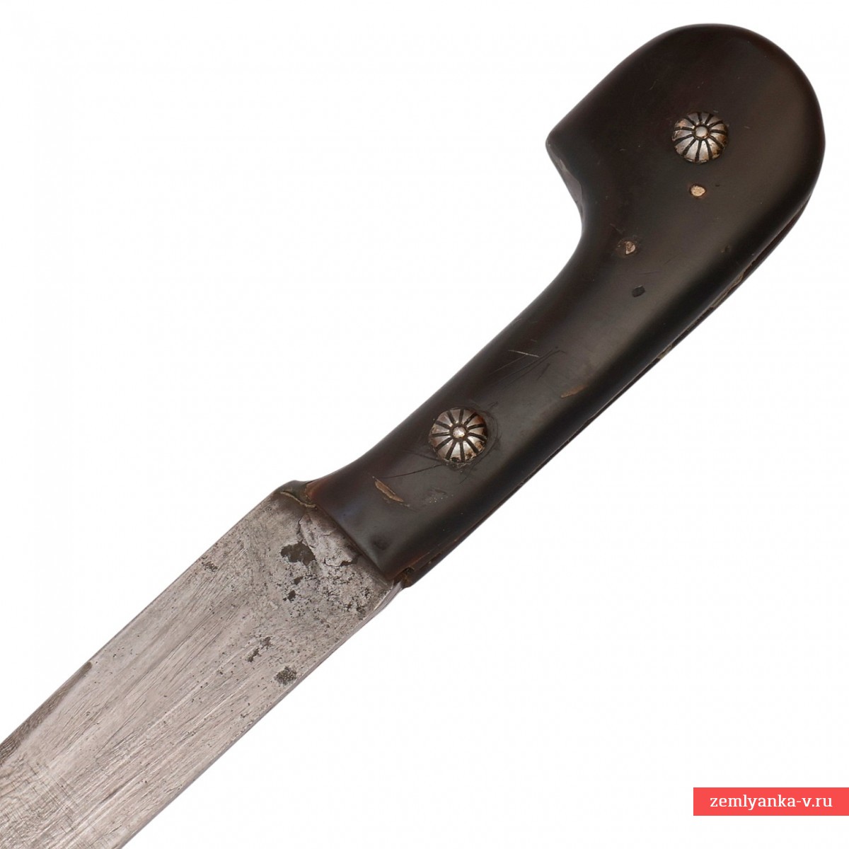 Шашка азиатская 