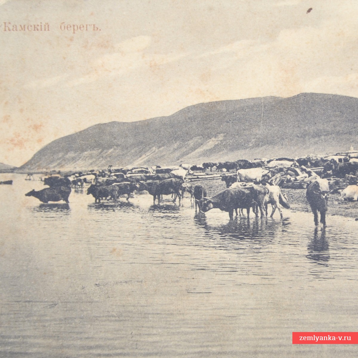 Открытка (почтовая карточка) «Камский берег»